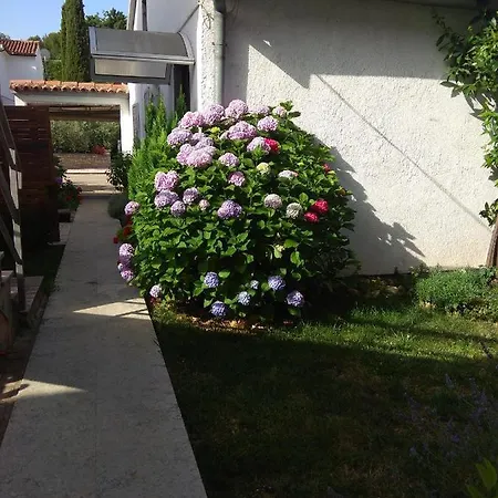 Nebo Apartment Porec